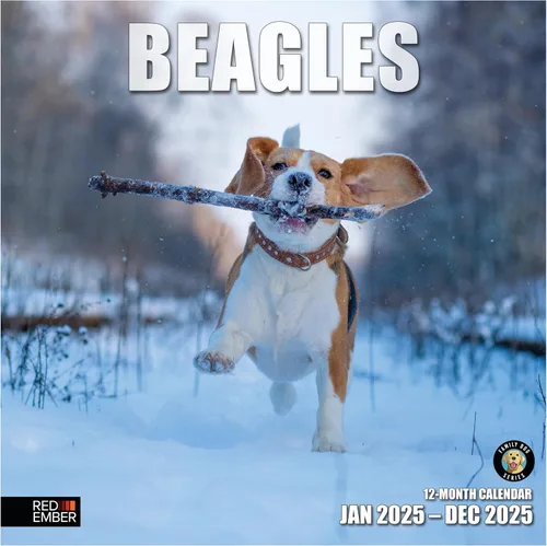 RED EMBER Beagles - Calendario de pared 2025 de 12 meses, 12 x 24 pulgadas, abierto, papel grueso y resistente, para regalo, calendario 2025