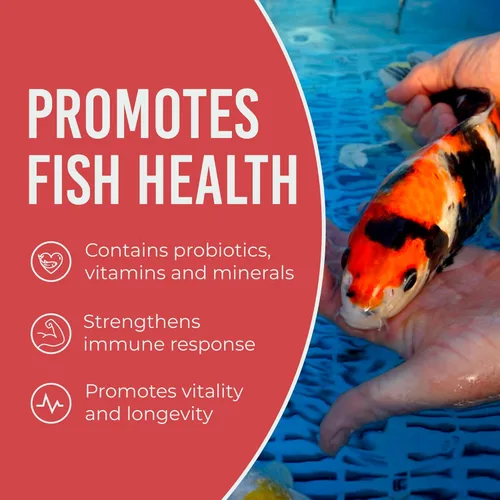 Miniatura 6 de Blue Ridge comida para peces Koi 2 libras - Fórmula de crecimiento mini para peces Koi, comida para peces dorados, comida premium para peces