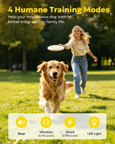 Miniatura 2 de Collar Eléctrico de Entrenamiento para Perros con Control Remoto 500M, E-Shock, Modos de Entrenamiento Seguros, Collares Recargables Impermeables