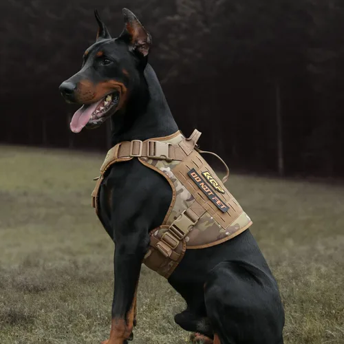 Miniatura 5 de Arnés táctico para perro, arnés para perro sin tirones, chaleco militar con clips metálicos ajustables, arnés para perros grandes, medianos