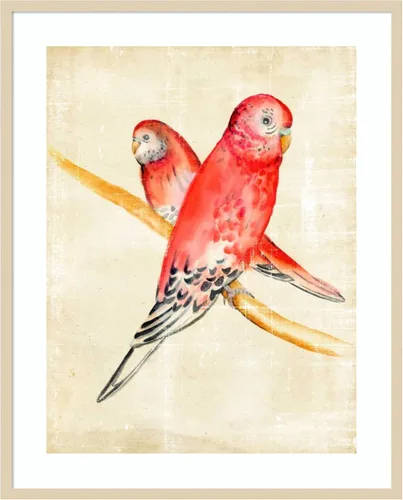 Amanti Art Framed Wall Art Print 41x33 Fanciful Birds I by Chariklia Zarris, Animals Wall Art, Vintage Decor, X-Large Poster Painting Artwork for