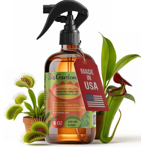 Miniatura 30 de GARDENERA Spray orgánico profesional de algas marinas para plantas AGLAONEMA – 8 oz – Rocío fertilizante de algas marinas y algas marinas totalmente