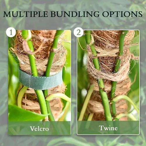 Miniatura 5 de Paquete de 2 postes de musgo de coco de 25 pulgadas para plantas trepadoras de interior, soporte de plantas hecho a mano para enredaderas