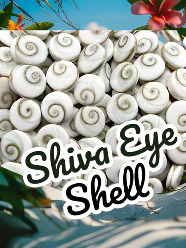 Miniatura 7 de ABCGEMS Shiva Eye Shell Beads Indonesia Auténtica Región Indo-Pacífico (patrón geométrico de matriz de doble cara) de origen ético – Producción