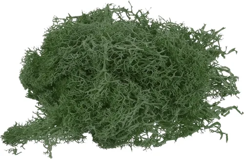 Miniatura 13 de MECCANIXITY Musgo artificial de musgo de 3.5 onzas, musgo artificial preservado natural para manualidades, manualidades, proyectos florales, Negro