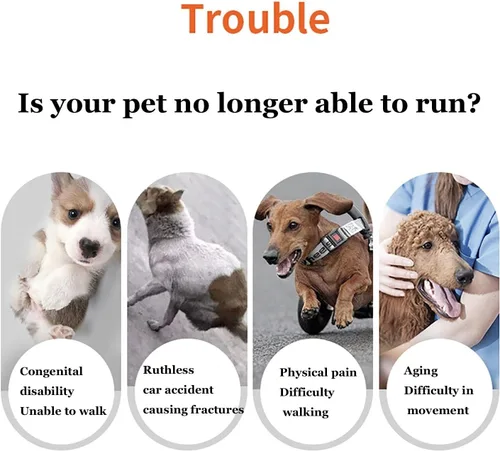 Miniatura 7 de Silla de ruedas para perros de 2/4 ruedas para patas traseras, ajustable y ligera, para mascotas, patas traseras con ruedas, ayuda para la movilidad