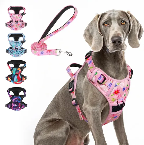Miniatura 25 de BEAUTYZOO Arnés para perro sin tirones pequeño, juego de arnés y correa ajustable para perro - Fácil de usar con 3 hebillas/mango de control, arnés