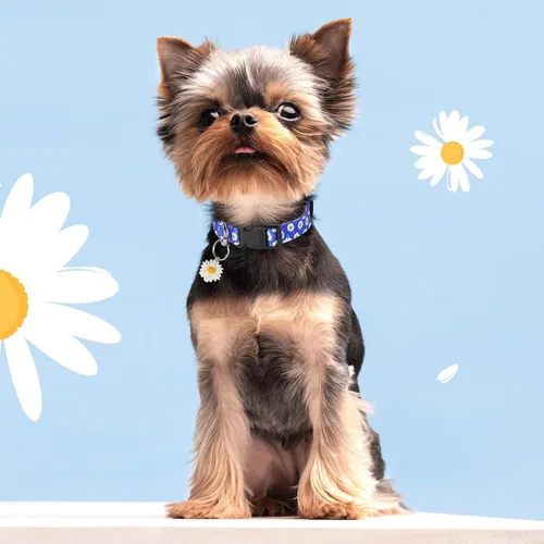 Miniatura 2 de Collares florales para perros grandes, collares suaves y lindos para perros y niñas, collar de flores bonitas con dijes de margaritas, regalo
