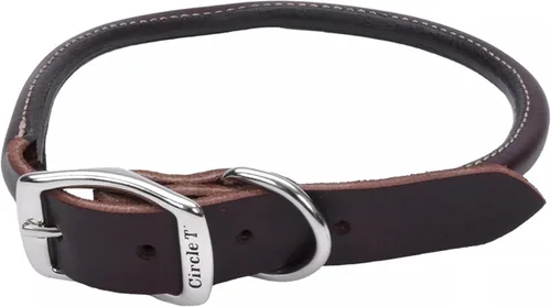 Coastal Pet - Circle T - Collar redondo de cuero para perro con herrajes de latón macizo, Latigo, 1" x 22"