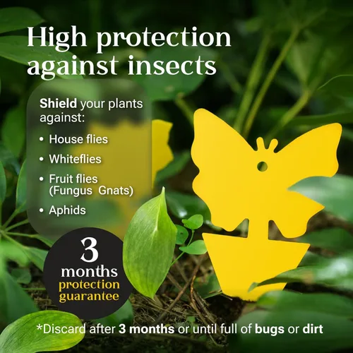 Trampas para moscas de frutas para interiores y exteriores, mosquito adhesivo de doble cara para plantas de interior | Para mosquitos, moscas