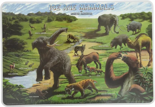 Miniatura 11 de Painless Learning Popular Birds - Mantel individual, tamaño grande