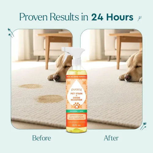 Miniatura 2 de Puracy Eliminador de manchas y olores de mascotas de platino natural, eliminador profesional de olores de orina de mascotas con enzimas naturales