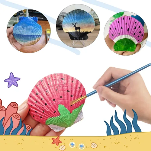 Miniatura 3 de 16 conchas de vieira natural, concha marina natural, de 4 a 5 pulgadas, conchas de vieira grandes blancas con pinceles y tiras de pintura acrílica