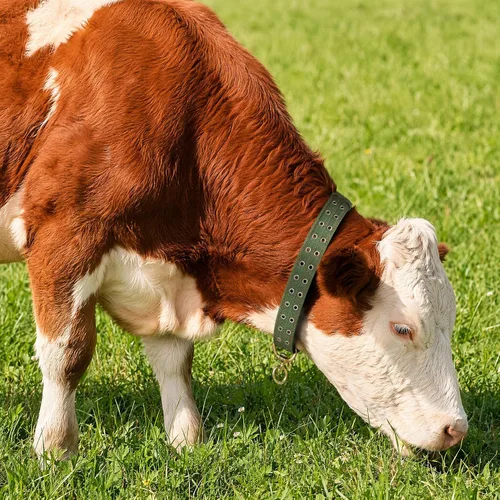 Miniatura 2 de DOITOOL Collar de lona para cuello de vaca, correa ajustable de nailon grueso de tracción para ganado con 2 filas de hebilla de metal para granja
