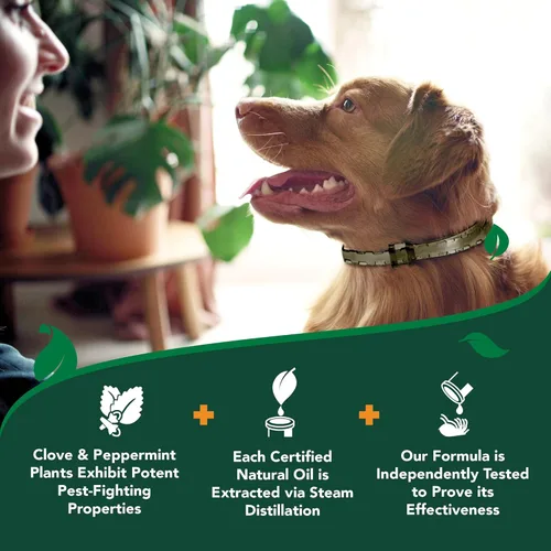 Miniatura 9 de Vet's Best Collar natural para pulgas y garrapatas para perros, collar repelente natural con ingredientes a base de plantas, prevención