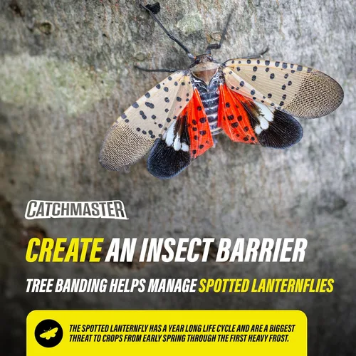 Miniatura 5 de Catchmaster Barrera de insectos para bandear árboles, cubeta de 15 onzas, trampas para hormigas y moscas de linternas, trampa adhesiva para insectos