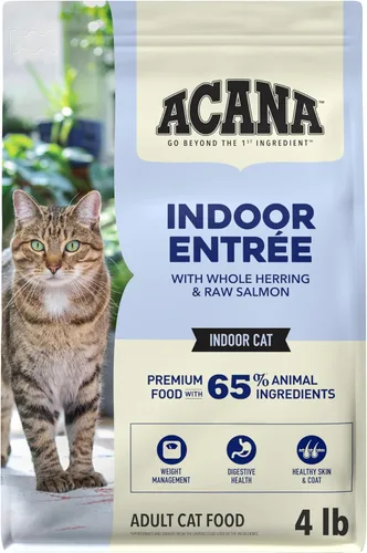 ACANA Indoor Entrée - Receta de pescado, alimento seco para gatos, bolsa de 4 libras
