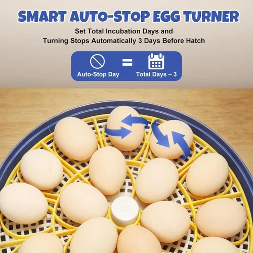 Miniatura 6 de Incubadora de 18 huevos para incubar pollos, codornices, patos y pavos, girador automático de huevos, control de humedad y pantalla digital, incluye