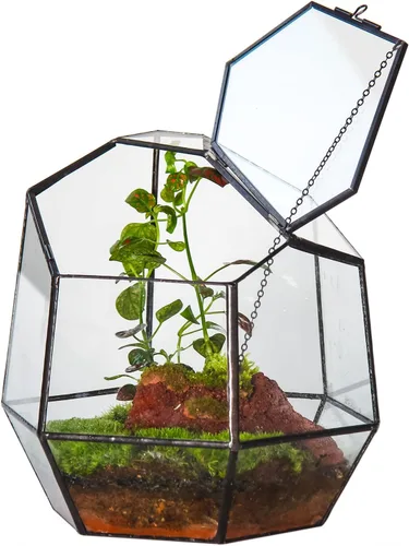 NCYP Terrario geométrico cerrado pequeño hecho a mano de 7.5 pulgadas con puerta, maceta de vidrio irregular negro, maceta moderna para flores de