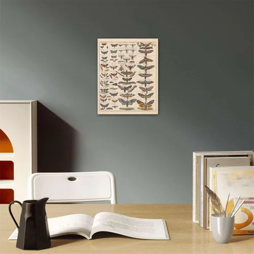 Miniatura 4 de Meishe Art Póster Impreso Vintage Polilla Insectos Razas Identificación Tabla de Referencia Colección de Especies Diagrama de Entomología Aula Club