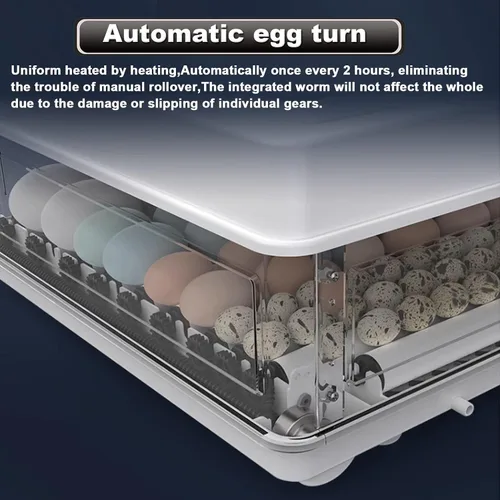 Miniatura 5 de Incubadora de huevos 98,120,128, incubadora de pollos completamente automática con volteador automático de huevos y adición de agua, incubadoras
