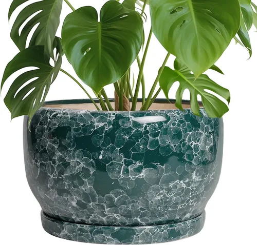 Miniatura 41 de SQOWL Macetas de cerámica – Maceta de 6 pulgadas con orificio de drenaje y bandeja, maceta redonda para plantas de interior, maceta decorativa