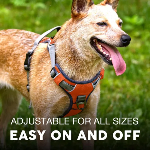 Miniatura 4 de Embark Active arnés de perro, fácil de encendido y apagado con parte delantera y trasera correa accesorios & mango de control – no tirar de Naranja