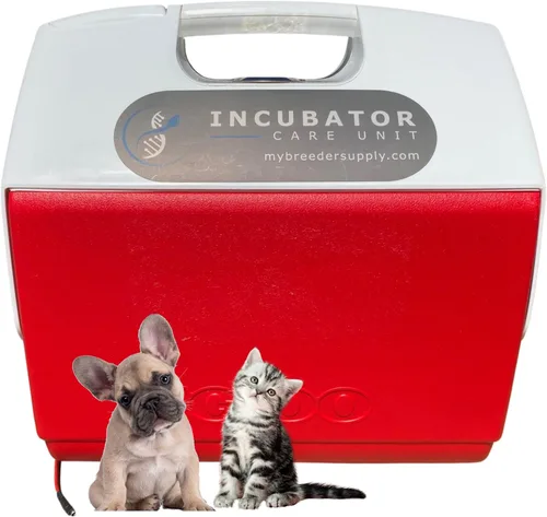 Incubadora portátil para cachorros recién nacidos, perros, gatitos que se enchufan al automóvil o al enchufe de pared. Termostato ajustable. No