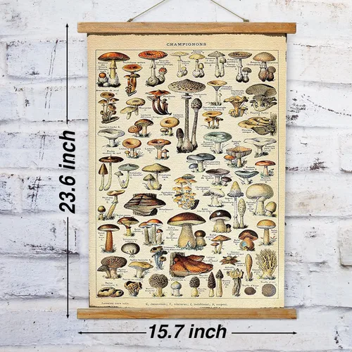 Miniatura 2 de Ovfovy Póster vintage de hongos con marco de madera, estilo retro de pintura botánica de pared, póster de tabla de referencia ilustrativa para sala