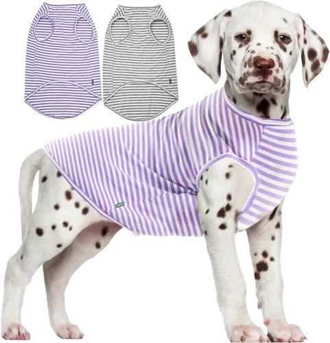 Miniatura 24 de Camisa azul en blanco para perros,Camisetas grandes para perros y niñas,Camiseta lisa de bulldog francés,L azul real Azul y Royal
