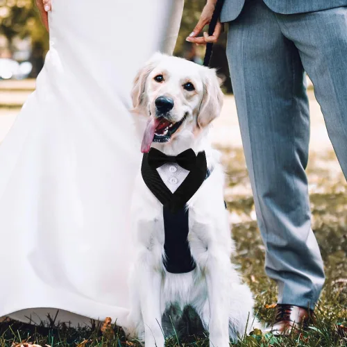 Miniatura 3 de Bandana de esmoquin, collar ajustable para mascotas con lazo para perros pequeños, medianos y grandes, ropa formal de boda, regalos de cumpleaños