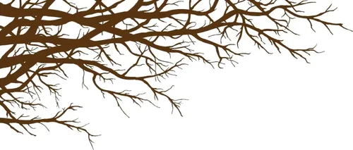 Vinilo mural para pared, diseño de ramas superiores de árbol, 67 pulgadas de ancho x 28 1/2 pulgadas de alto, de izquierda a derecha (negro)