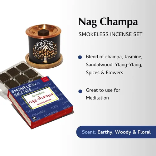 Miniatura 3 de Ladrillos y quemador de incienso Nag Champa - Super Set