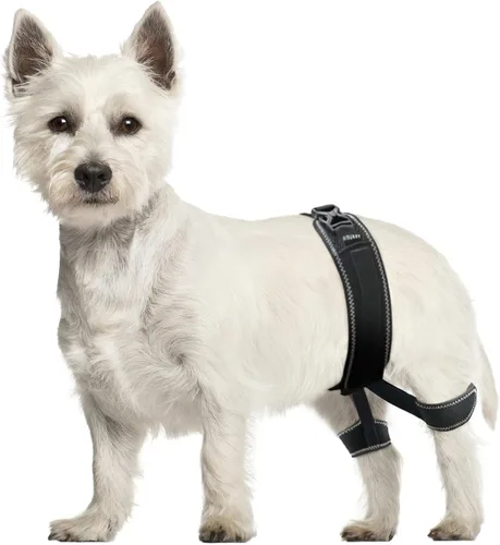 Soporte de cadera para perro – Arnés de apoyo para displasia de cadera, alivio del dolor en las articulaciones, evita problemas en las