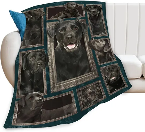 Miniatura 23 de Manta de Tiro de Perro Akita - Regalos y Decoración para Niñas, Mujeres, Niños, Adultos - Suave, Cálida y Acogedora de Vellón para Sofá, Sillón