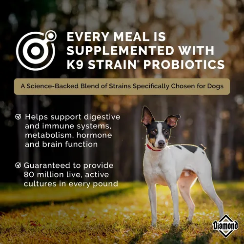Miniatura 7 de Diamond Alimento seco para perros adultos de alta energía 24/20 para perros altamente activos, deportivos y de trabajo, bolsa de 50 libras