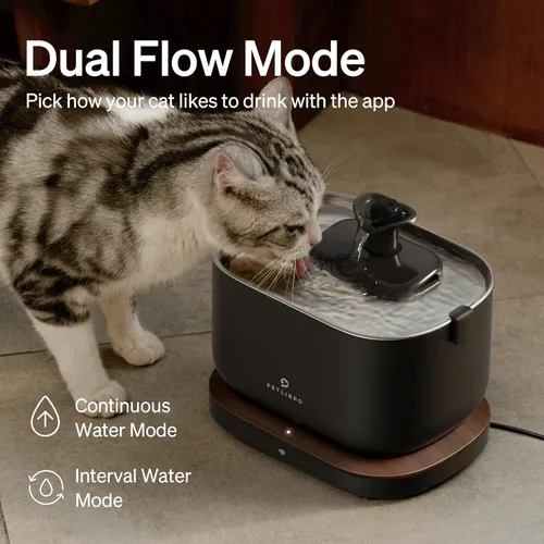 Miniatura 5 de Paquete de fuente de agua para gatos con monitorización por aplicación PETLIBRO con bomba inalámbrica + 4 paquetes de filtros de repuesto genuinos