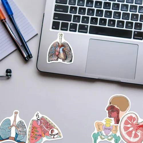 Miniatura 3 de Anatomy Pun Stickers Human Anatomy Sticker Water Bottle Stickers for Teens Waterproof Vinyl(50Pcs)