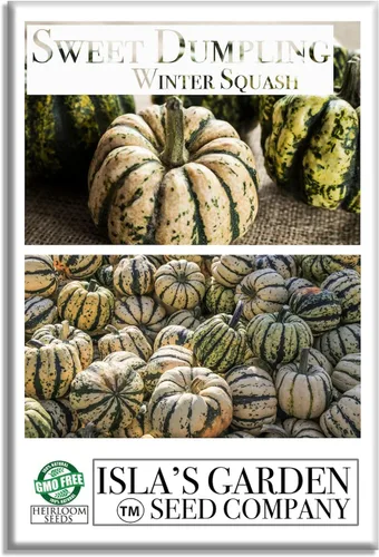 Semillas de calabaza de invierno Sweet Dumpling para plantar, más de 50 semillas de reliquia por paquete, semillas de jardín de Isla (semillas de