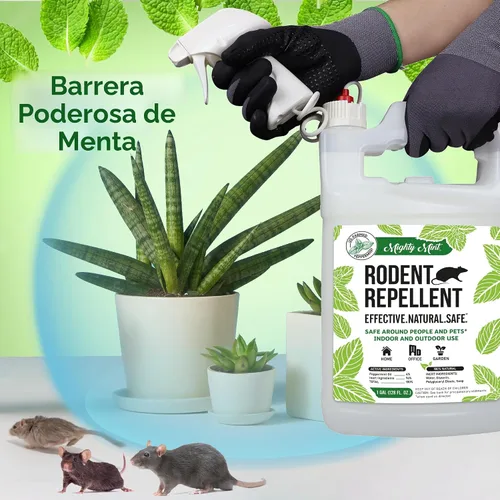 Miniatura 3 de Mighty Mint Spray Repelente de Roedores de Aceite de Menta con Paño de Microfibra – Control Natural para Interiores y Exteriores para Ratones