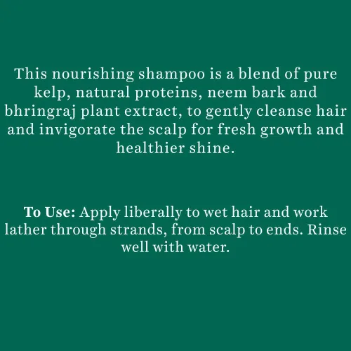 Miniatura 4 de Biotique Bio Kelp Protein Champú para cabello caído, 11.5 fl oz