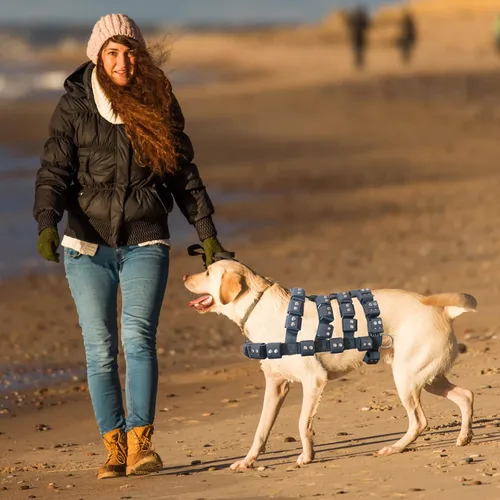 Miniatura 9 de Arnés para perros pequeños, medianos y grandes, sin tirones, chaleco con peso para perro, arnés táctico para perros Pit Bulls con bolsillos