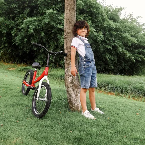 Miniatura 5 de Balance Bike 2 in 1,The Dual Use of a Kids Balance Bike and Toddler Bike, for 2 3 4 5 6 7 Years Old -12 14 16 Inches with Training Theory, Brake