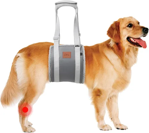 Miniatura 15 de Arnés Ajustable de Elevación para Perros, Cabestrillo para Perros Grandes con Soporte de Elevación y Arnés de Rehabilitación para Patas Traseras