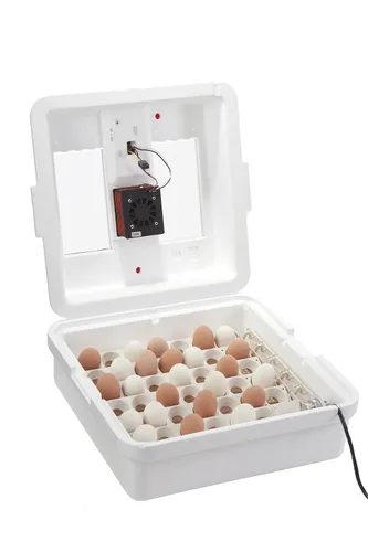 Miniatura 6 de [Modelo actualizado 2025] Incubadora digital de aire circulado Little Giant® con volteador automático Capacidad de 41 huevos Incubadora