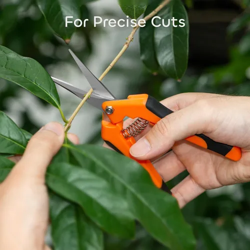 Miniatura 2 de GROWNEER 1 paquete de tijeras de podar de 6.5 pulgadas, tijeras de podar de mano para jardinería, tijeras de jardinería con cuchillas rectas