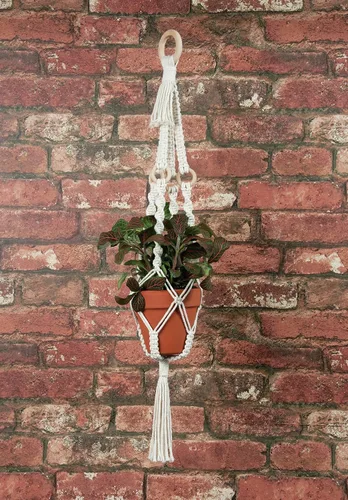 Miniatura 3 de SOLID OAK MACRAME PLNT HNGR KT 4 ANILLOS