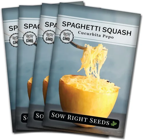 Sow Right Seeds - Semillas de calabaza espagueti para plantar - Paquete de reliquia sin OMG con instrucciones para plantar y cultivar un huerto al