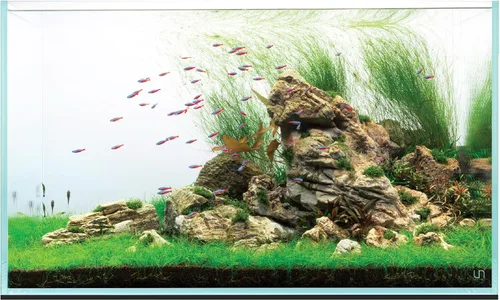 Miniatura 14 de UNS Acuario Ultra Claro Sin Borde - 25.6GAL 97.2L - 23.62x14.17x17.71 60x36x45 CM, Grosor de Vidrio de 6mm, Incluye Alfombrilla Nivelante