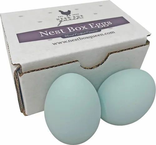 Nest Box Queen Huevos de cerámica para nido de pollo para entrenamiento en caja nido, paquete de 2 (azul)